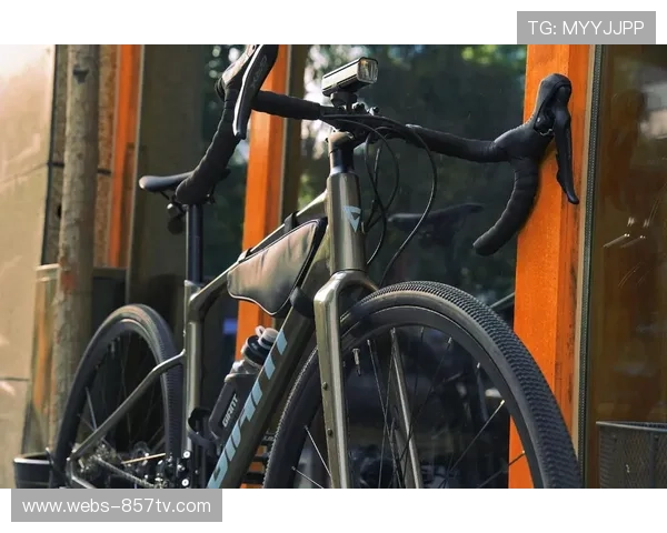 砾石公路车市场增长迅速,轮胎技术创新成行业焦点 砾石公路车市场增长迅速,轮胎技术创新成行业焦点