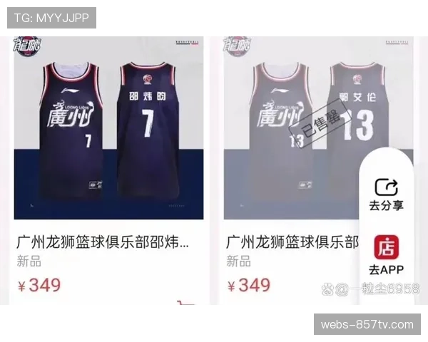 球衣销售数据：技术型球员与强力中锋的球衣销量，反映球迷偏好